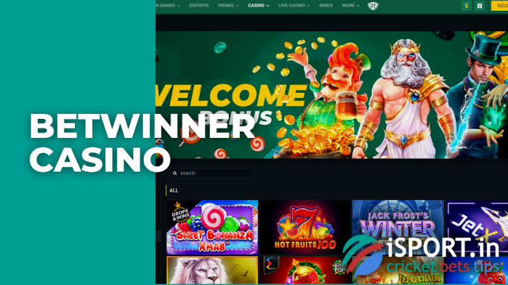 Explore BetWinner Your Ultimate Gambling Platform